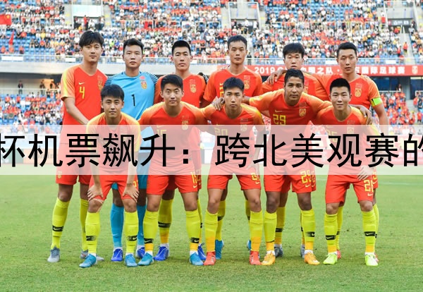 2026世界杯机票飙升：跨北美观赛的交通成本